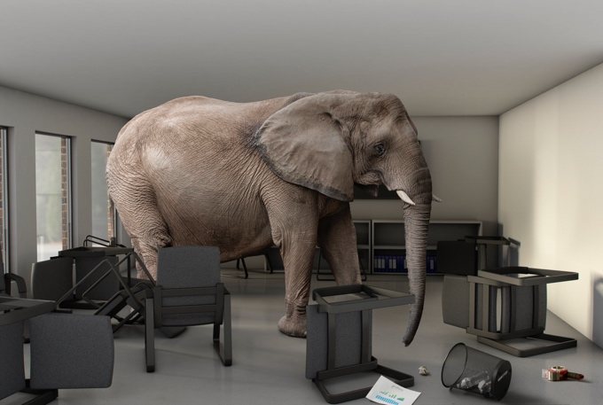 An elephant standing in a classroom, representing the scaling challenge of oral exams.
